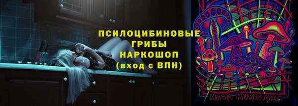 mix Козельск