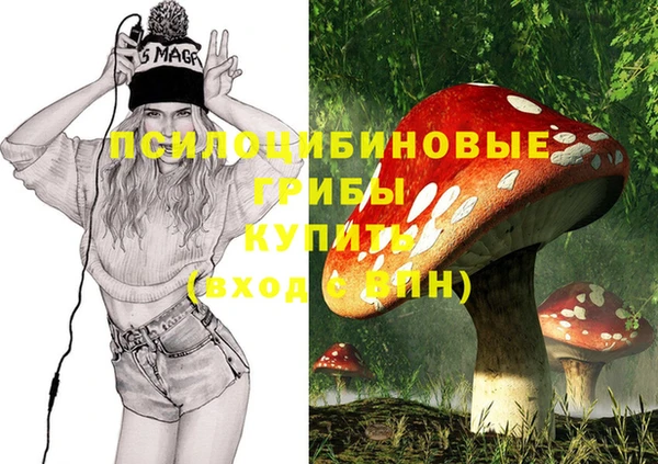 экстази Козловка
