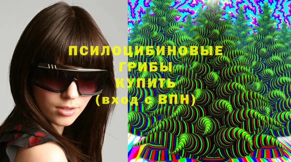 экстази Козловка