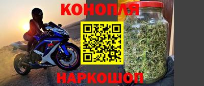 ешки Гай