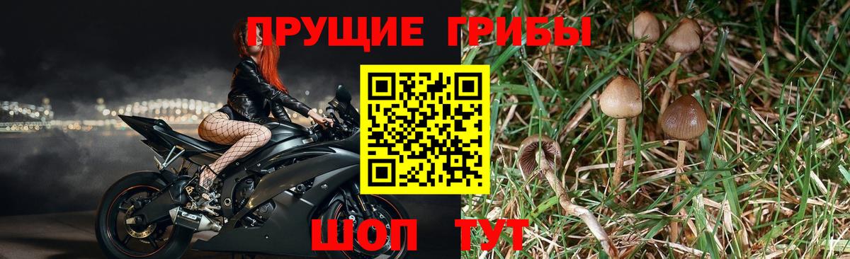 Псилоцибиновые грибы мухоморы  Ижевск 